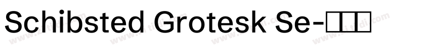 Schibsted Grotesk Se字体转换